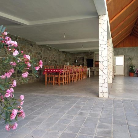 Pensiunea Tiuta Hotel Corbeni Exterior photo