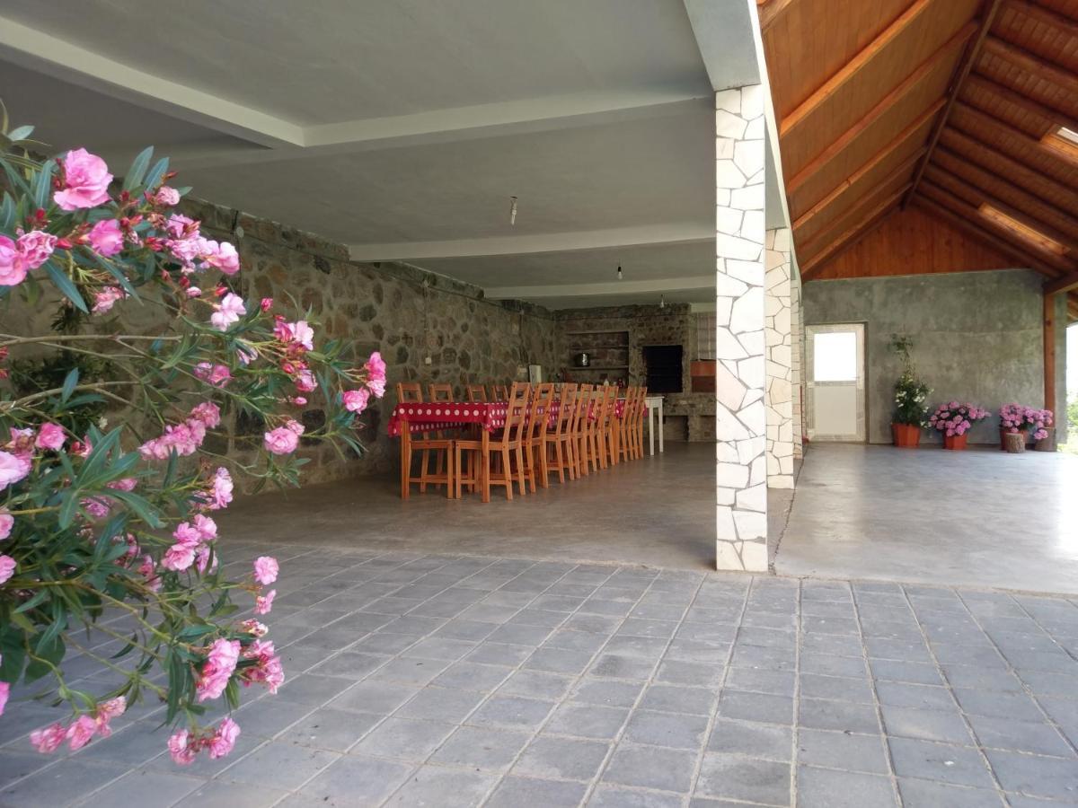 Pensiunea Tiuta Hotel Corbeni Exterior photo