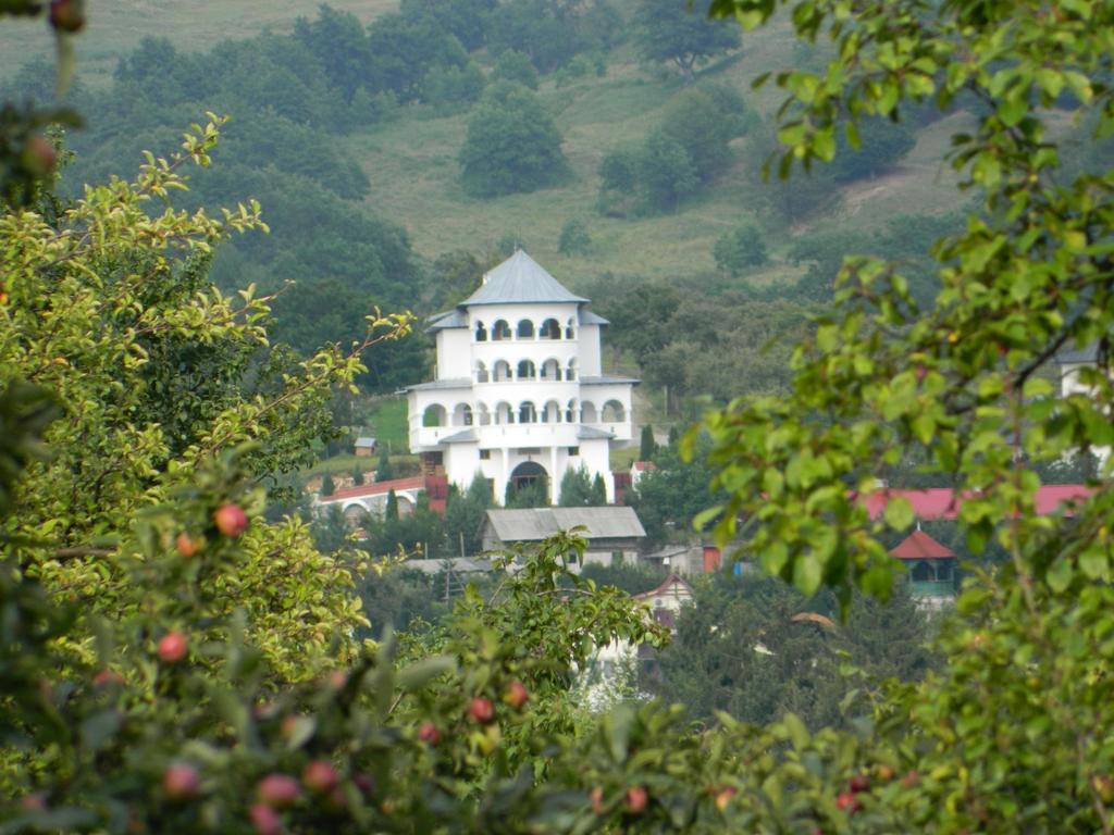Pensiunea Tiuta Hotel Corbeni Exterior photo