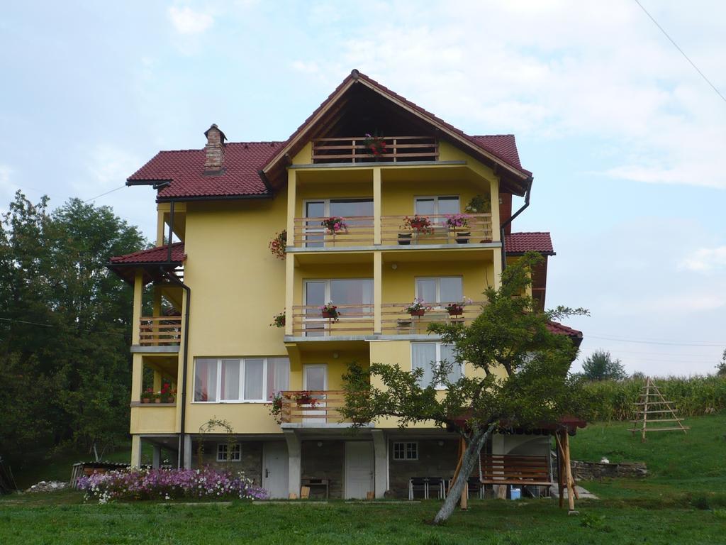 Pensiunea Tiuta Hotel Corbeni Exterior photo